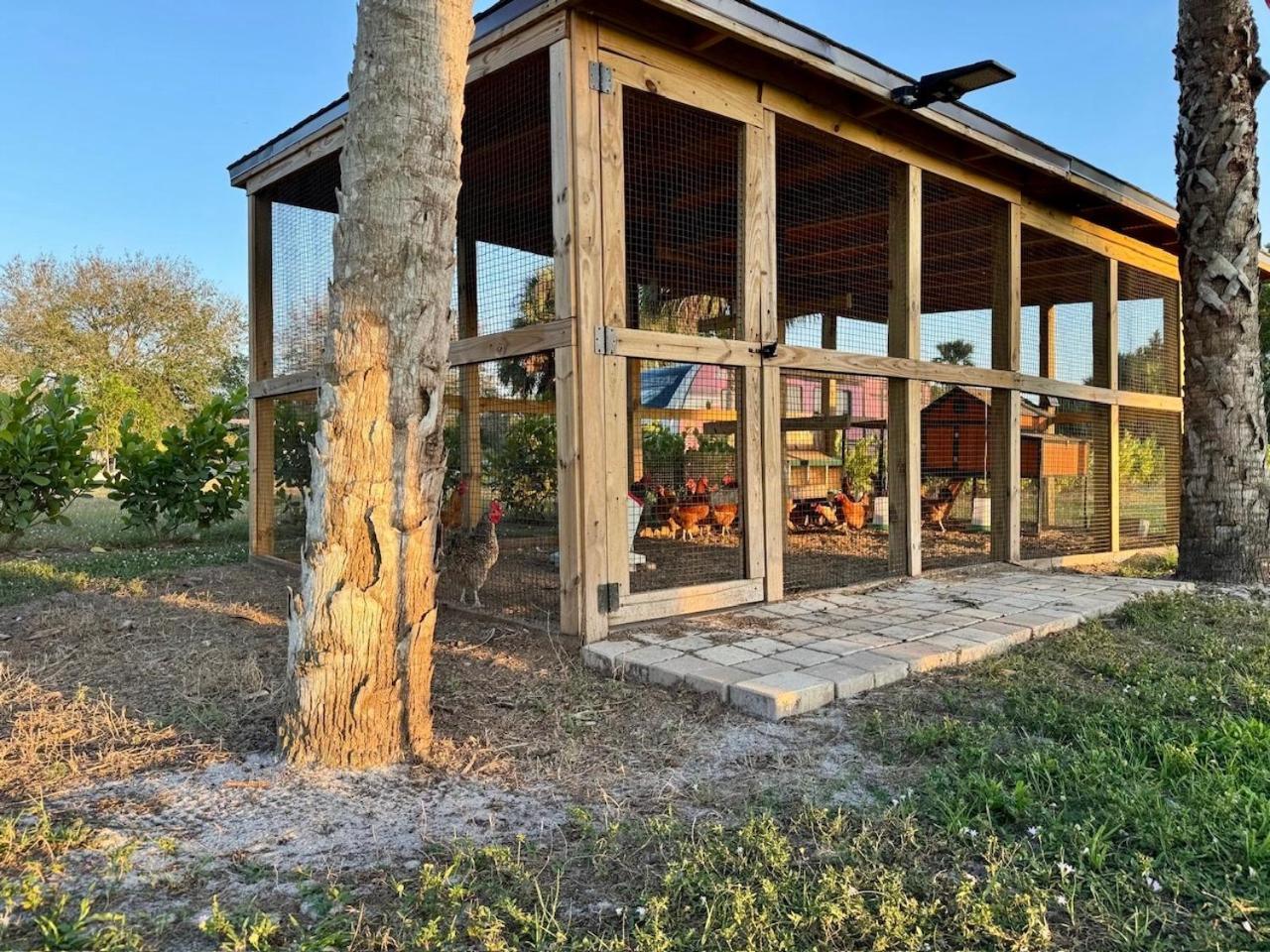 Naples Charming Cottage Orangetree Extérieur photo